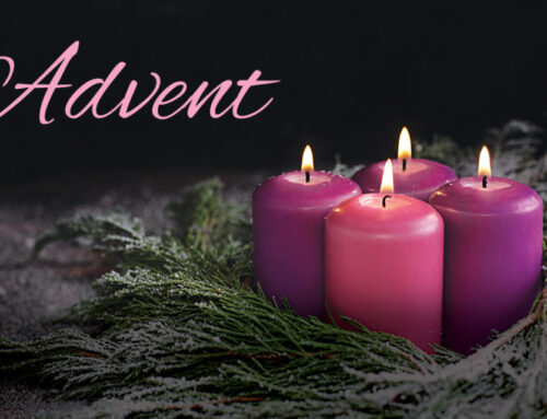 Advent Reflection by Fr. David